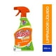 thumbnail image 1 of Limpiador líquido Brasso Gold sarro y mugre 650 ml, 1 of 1