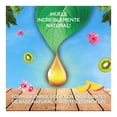 thumbnail image 2 of Aromatizante ambiental contínuo Air Wick mango tropical y kiwi 1 aparato y 1 repuesto de 20 ml, 2 of 4