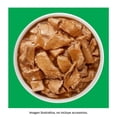 thumbnail image 4 of Alimento para Perro Dog Chow Adulto Sabor Pavo 100 g, 4 of 4