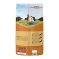 thumbnail image 2 of Alimento para Perro Dog Chow Adulto Complete Raza Pequeña 10 kg, 2 of 4