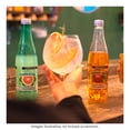 thumbnail image 4 of Refresco Tehuacán Brillante toronja 600 ml, 4 of 4
