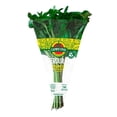 thumbnail image 1 of Verduras orgánicas Campo Vivo hierbabuena 100 g, 1 of 3