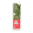 thumbnail image 1 of Albahaca Tiempo de cosecha por pieza 50 g, 1 of 4