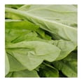 thumbnail image 2 of Albahaca Tiempo de cosecha por pieza 50 g, 2 of 4