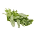 thumbnail image 3 of Albahaca Tiempo de cosecha por pieza 50 g, 3 of 4