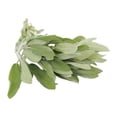 thumbnail image 2 of Salvia Tiempo de Cosecha fresca 50 g, 2 of 4