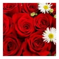 thumbnail image 2 of Bouquet de rosas 12 tallos, 2 of 3