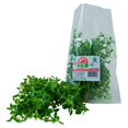 thumbnail image 2 of Oregano Italiano Maria Rucobo's orgánico 40 g, 2 of 3