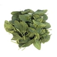 thumbnail image 3 of Espinaca baby orgánica Vegetalistos 142 g, 3 of 3