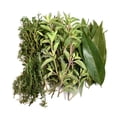 thumbnail image 3 of Hierbas de olor Hortalizan 30 g, 3 of 4