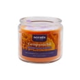 thumbnail image 1 of Vela Aromática Scents For Everyday Cempasúchil 240 gr, 1 of 4