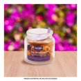thumbnail image 3 of Vela Aromática Scents For Everyday Pan De Muerto 85 gr, 3 of 4