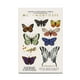 thumbnail image 1 of Sombras Yuya metamorfosis 27 g, 1 of 3