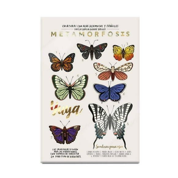 Sombras Yuya metamorfosis 27 g