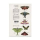 thumbnail image 2 of Sombras Yuya metamorfosis 27 g, 2 of 3