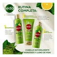 thumbnail image 4 of Shampoo Sedal purificación y brillo limón y matcha 370 ml, 4 of 4