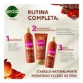 thumbnail image 4 of Pack de cremas para peinar Sedal Bioexpert fuerza y crecimiento café y ricino 300 ml, 4 of 4