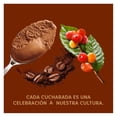 thumbnail image 3 of Helado Holanda Dulce Origen sabor café de Veracruz 473 ml, 3 of 4