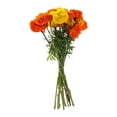 thumbnail image 1 of Ramo de flores cempasúchil mediano por pieza, 1 of 4