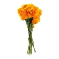 thumbnail image 2 of Ramo de flores cempasúchil mediano por pieza, 2 of 4