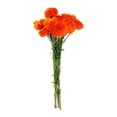 thumbnail image 3 of Ramo de flores cempasúchil mediano por pieza, 3 of 4