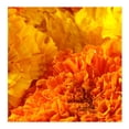 thumbnail image 4 of Ramo de flores cempasúchil mediano por pieza, 4 of 4