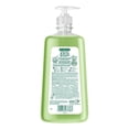 thumbnail image 2 of Jabón líquido Palmolive kids para manos y cuerpo aroma manzana 500 ml, 2 of 4
