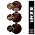 thumbnail image 3 of Tinte para cabello Garnier Nutrisse Coloríssimos 303 negro ámbar, 3 of 4