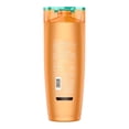 thumbnail image 2 of Shampoo L'Oréal Elvive óleo extraordinario cabello rizado 370 ml, 2 of 4