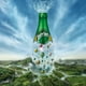 thumbnail image 3 of Agua de manantial con gas Perrier 750 ml, 3 of 4