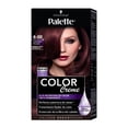 thumbnail image 1 of Tinte para cabello Palette color creme 4-88 castaño rojizo 1 pza, 1 of 4