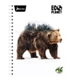 thumbnail image 3 of Cuaderno Americano Norma Ecoplanet Cuadro Grande 100 Hojas, 3 of 3
