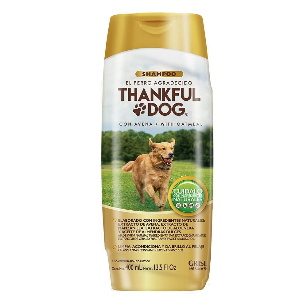 Shampoo