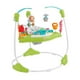 thumbnail image 2 of Silla para bebés Fisher-Price Baby Saltarina Diversión En El Gimnasio, 2 of 3