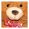 thumbnail image 3 of Peluche Celebrate Oso Café 1 Metro, 3 of 3