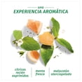 thumbnail image 4 of Shampoo en seco Herbal Essences bío:renew white grapefruit & mosa mint 140 g, 4 of 4