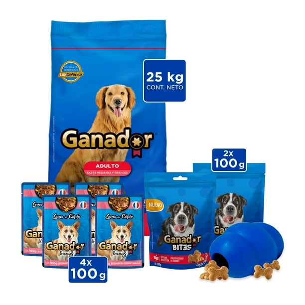 Alimento para perro Ganador Original adulto razas medianas y grandes 25 kg bundle