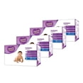 thumbnail image 1 of Pañales Parents Choice Etapa 6 Unisex 160  Piezas, 1 of 2