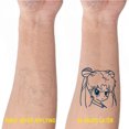 thumbnail image 3 of Tatuajes De Tinta De Jugo Tatuaje impermeable 3D Moda Jugo Tinta Tatuajes para hombres Mujeres Fiesta (C) Wdftyju Libre de BPA, 3 of 4