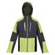 thumbnail image 1 of Regatta - Chaqueta Impermeable Highton IV para Niños/Niñas (Gris Seal, Algas Verdes) Regatta UTRG9162_sealgreygreenalgae, 1 of 4