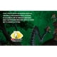 thumbnail image 3 of Juego de Mesa Montecarlo Calabozo La Aventura de los Anillos, 3 of 3