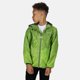 thumbnail image 4 of Regatta - Chaqueta con estampado modelo Lever Pixel para niños (Lima Eléctrico) Regatta UTRG1999_electriclime, 4 of 5