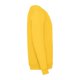 thumbnail image 2 of Fruit Of The Loom - Sudadera Modelo con mangas Raglan Unisex niños niñas (Girasol) Fruit of the Loom UTBC1365_sunflower, 2 of 3