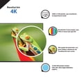 thumbnail image 3 of TV Hisense 50 Pulgadas 4K Ultra HD Smart TV LED 50H6F, 3 of 4