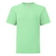 thumbnail image 1 of Fruit of the Loom - Camiseta para Niños/Niñas (Verde menta) Fruit of the Loom UTBC4731_mintgreen, 1 of 3