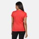 thumbnail image 3 of Regatta - Camiseta Fingal V Diseño Impreso para Mujer (Gris Ónice) Regatta UTRG5308_onyxgrey, 3 of 3
