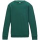 thumbnail image 1 of AWDis Just Hoods - Sudadera básica con cuello redondo Unisex para niños niñas (Jade) Awdis UTRW3485_jade, 1 of 2
