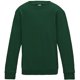 thumbnail image 1 of AWDis Just Hoods - Sudadera básica con cuello redondo Unisex para niños niñas (Verde botella) Awdis UTRW3485_bottlegreen, 1 of 2