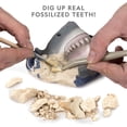 thumbnail image 2 of National Geographic Shark Tooth Dig Kit, Excava 3 fosiles re NATIONAL GEOGRAPHIC NATIONAL GEOGRAPHIC, 2 of 2