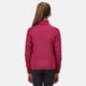 thumbnail image 2 of Regatta - Chaqueta Oberon IV de Softshell para Niños/Niñas (Fucsia, Gris Ceniza Jaspeado, Frambuesa Radiante) Regatta UTRG6216_fuchsiaashgreymarlraspberryradience, 2 of 4